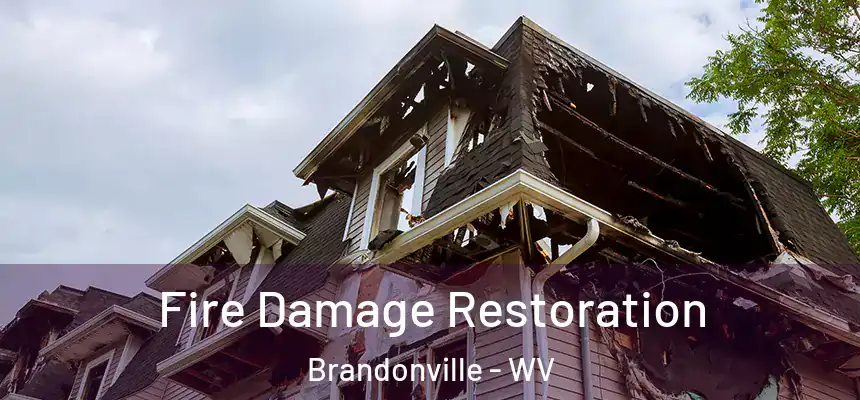 Fire Damage Restoration Brandonville - WV