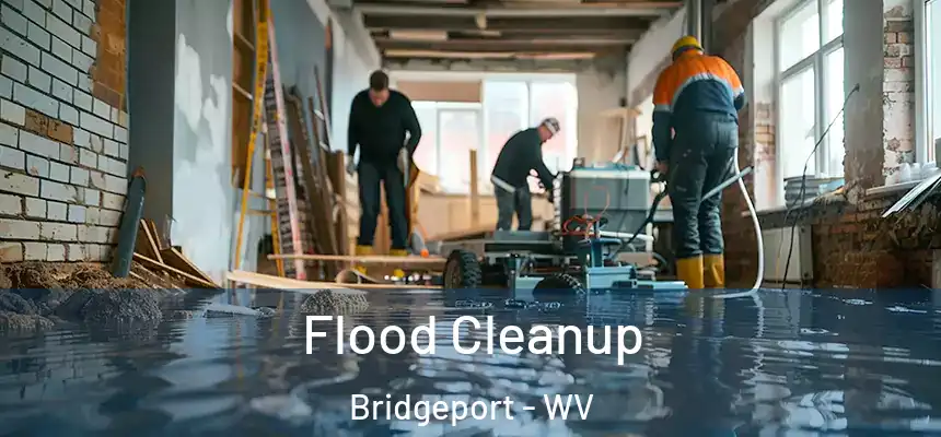  Flood Cleanup Bridgeport - WV