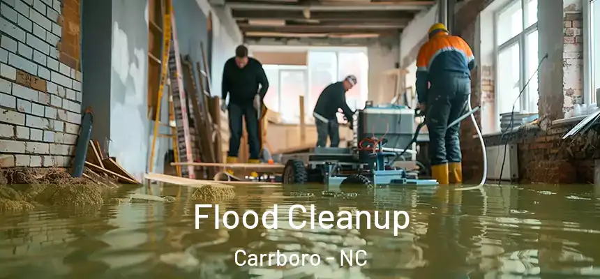 Flood Cleanup Carrboro - NC