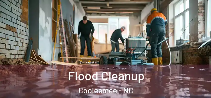  Flood Cleanup Cooleemee - NC