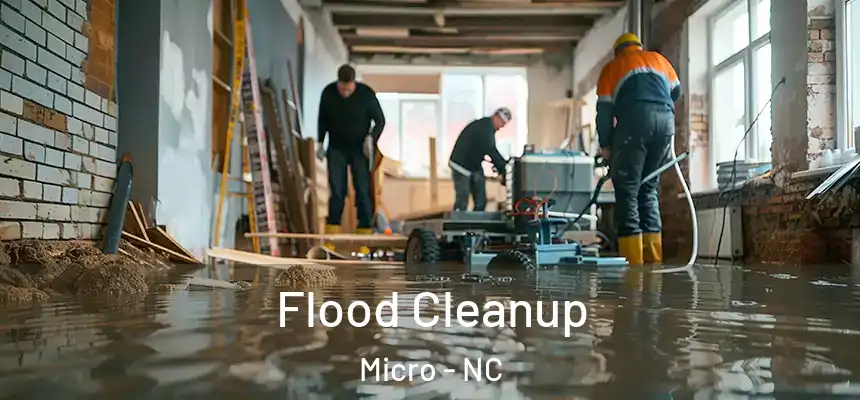  Flood Cleanup Micro - NC