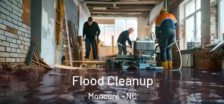 Flood Cleanup Moncure - NC