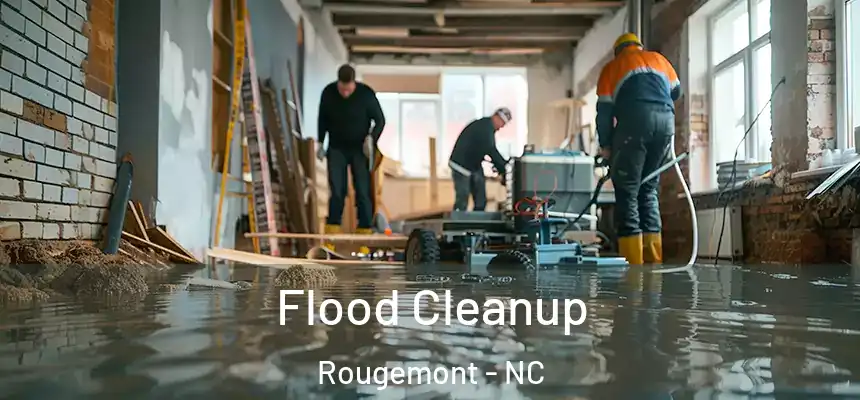  Flood Cleanup Rougemont - NC