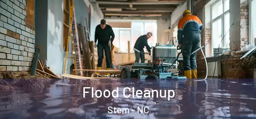  Flood Cleanup Stem - NC