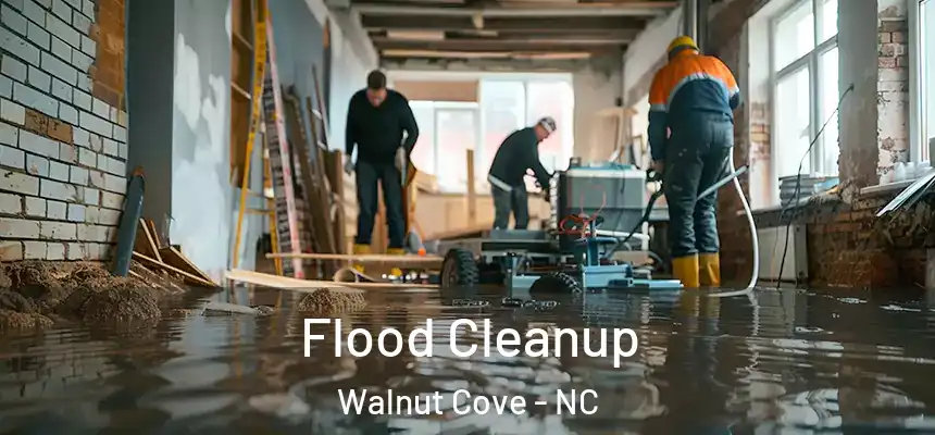  Flood Cleanup Walnut Cove - NC