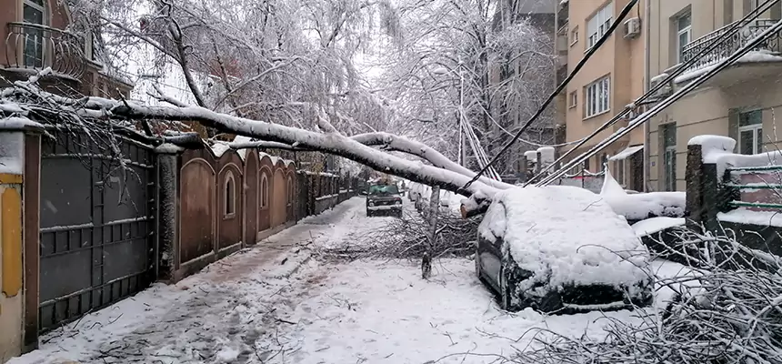 Winter Storm Damage Repair in Winston-Salem