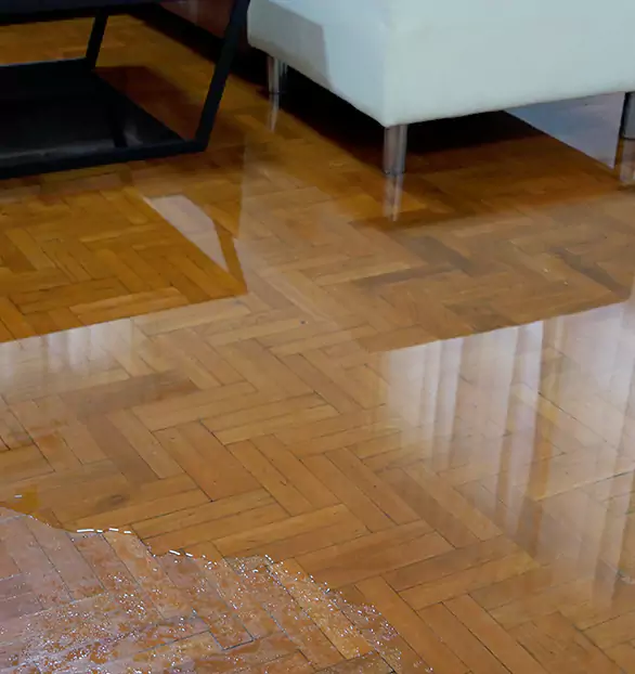 Trusted Emergency Water Restoration Company in Winston-Salem, NC