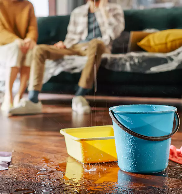 Trusted Water Remediation Company in Winston-Salem, NC